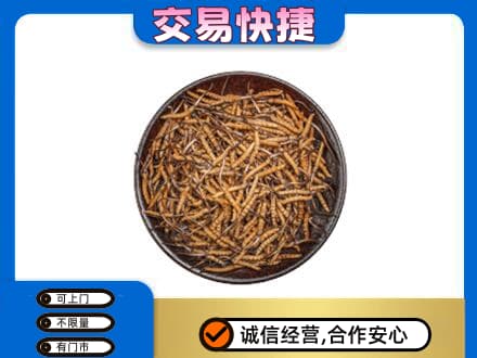 邵阳回收散虫草
